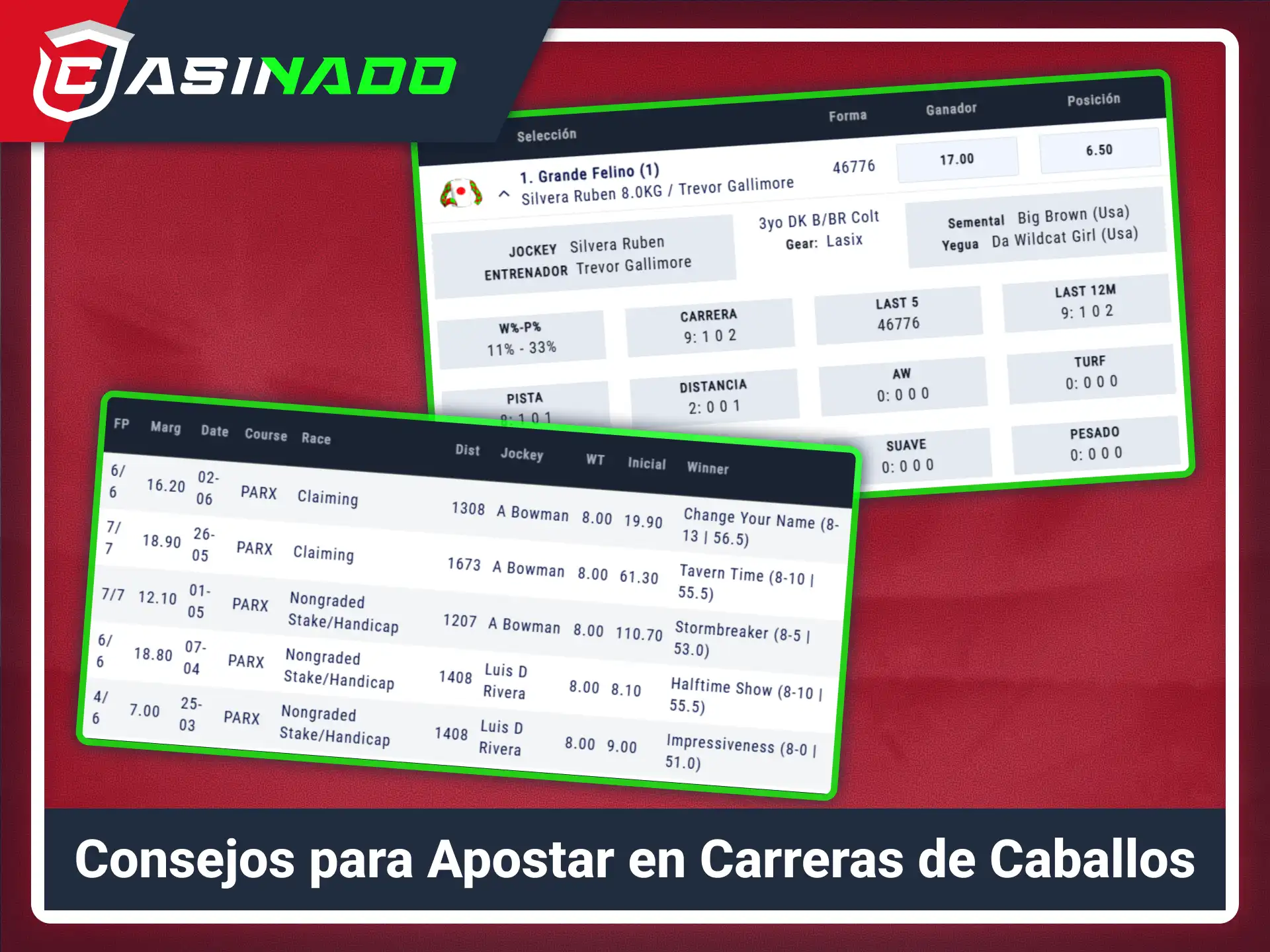 Lee consejos útiles para tus apuestas hípicas en Casinado oficial.
