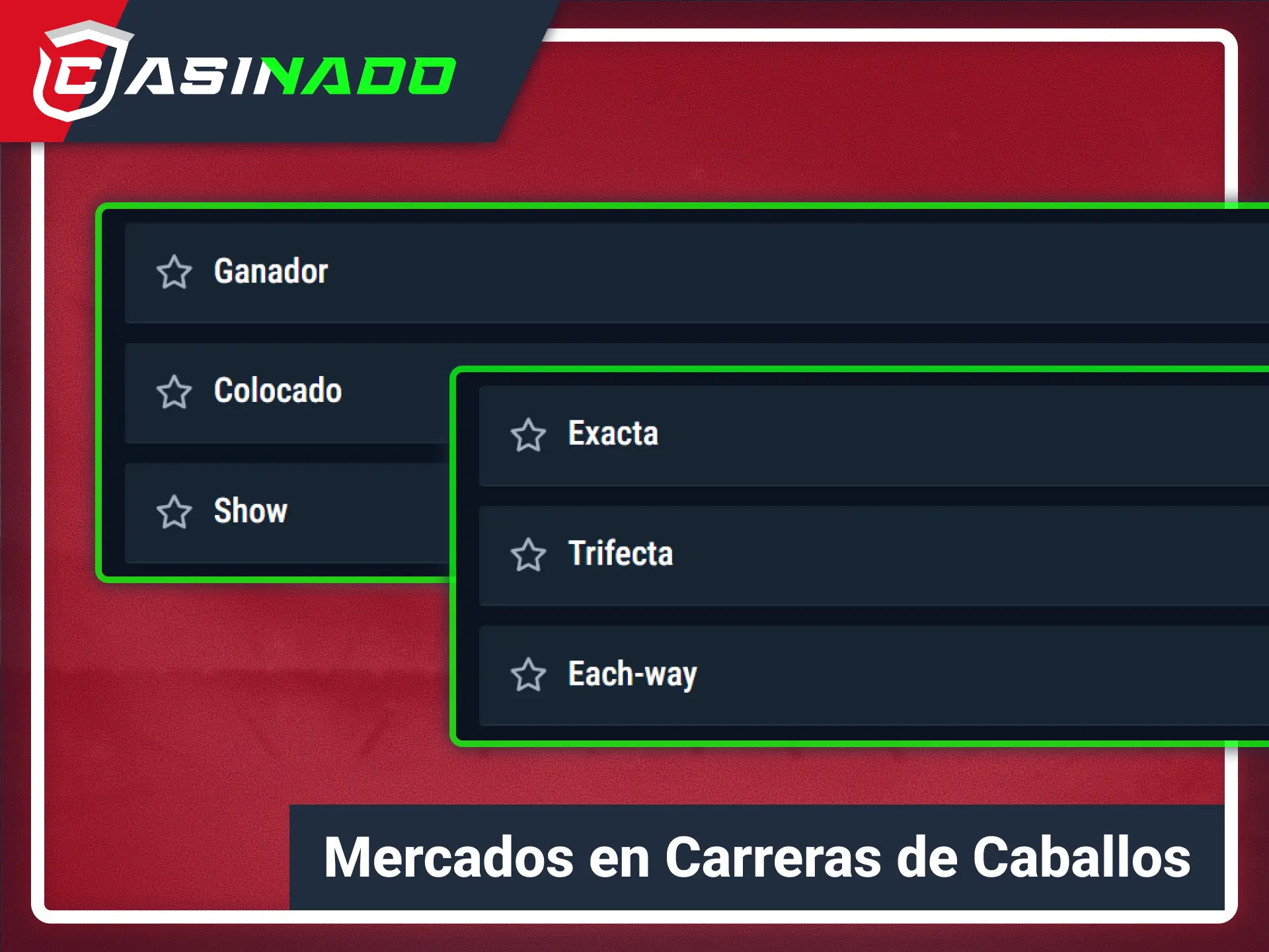 Encuentra diversos mercados para apostar al hipismo en Casinado oficial.